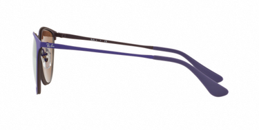 Ray-Ban Junior Erika Metal RJ9538S 252/2Y Rubber Brown/Violet