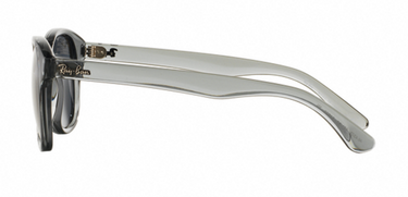 Ray-Ban RB4203 621/87 Trasparent Shiny Grey