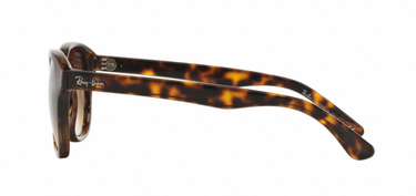 Ray-Ban RB4203 710/13 Shiny Havana