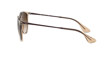 Ray-Ban Erika RB4171 651413 Transparent Light Brown