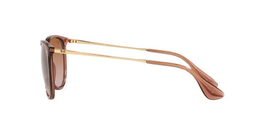 Ray-Ban Erika RB4171 659013 Transparent Light Brown