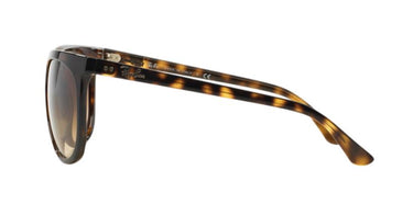 Ray-Ban Cats RB4126 710/51 Light Havana