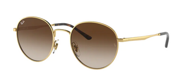 Ray-Ban RB3681 001/13 Arista