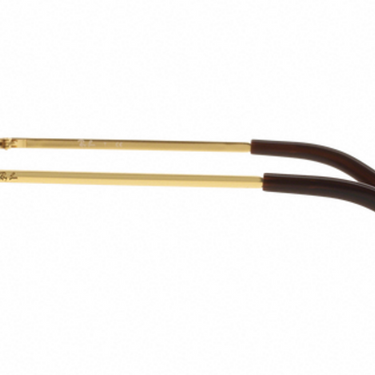 Ray-Ban RB3449 001/13 Arista