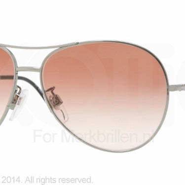 Burberry Zonnebril BE3056 114213 Gunmetal-Bruin