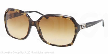 Bvlgari Zonnebril BV8106B Zwart, havana-Bruin