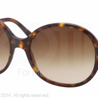 BvlgariZonnebril BV8108B Havana gray gradient