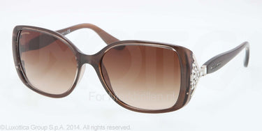 Bvlgari Zonnebril BV8113B Turtledove brown gradient