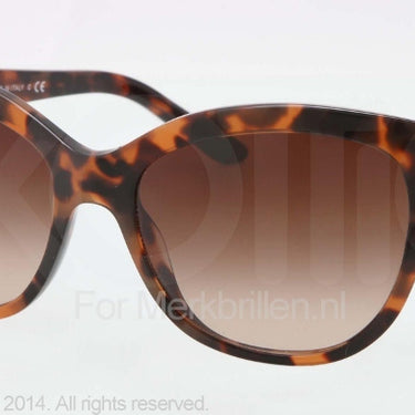 Bvlgari Zonnebril BV8121H Havana brown gradient