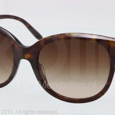 Bvlgari Zonnebril BV8122 Dark havana brown gradient