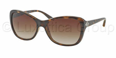Bvlgari zonnebril BV8127B Havana