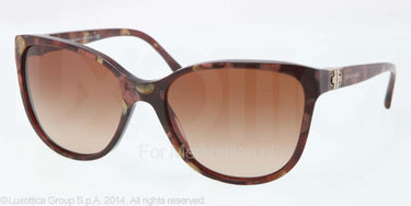 Bvlgari Zonnebril BV8132B Red marble brown gradient