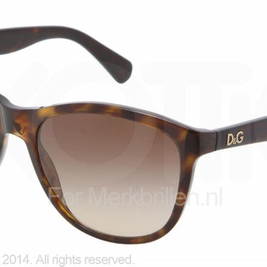 D&G Zonnebril DD3091 Havana-Bruin