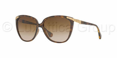 D&G zonnebril DD8096 Havana