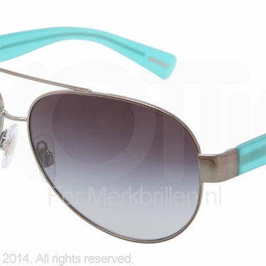 Dolce & Gabbana Zonnebril DG2118P Gunmetal gray gradient