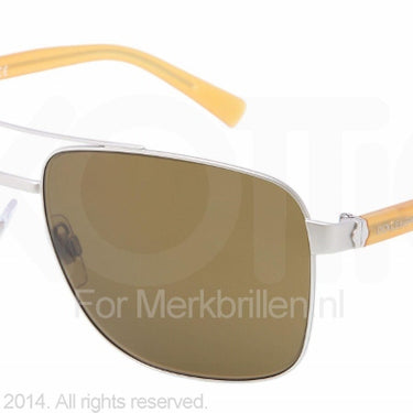 Dolce & Gabbana Zonnebril DG2131 Matte silver brown