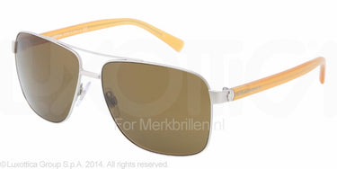 Dolce & Gabbana Zonnebril DG2131 Matte silver brown