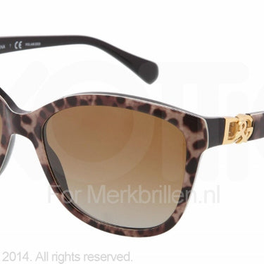 Dolce & Gabbana Zonnebril DG4162P Animalier-Bruin