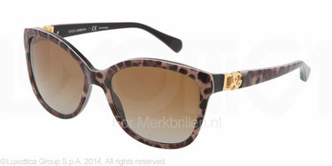Dolce & Gabbana Zonnebril DG4162P Animalier-Bruin