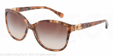 Dolce & Gabbana Zonnebril DG4162P Bruin-Bruin