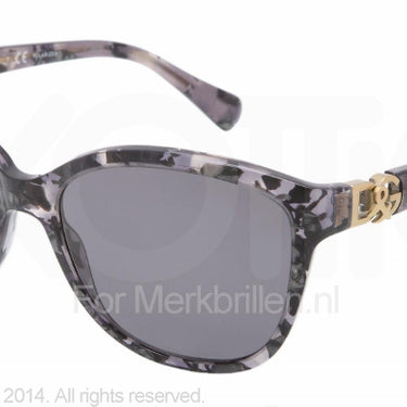 Dolce & Gabbana Zonnebril DG4162P Grijs-Grijs
