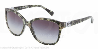 Dolce & Gabbana Zonnebril DG4162P Groen-Grijs