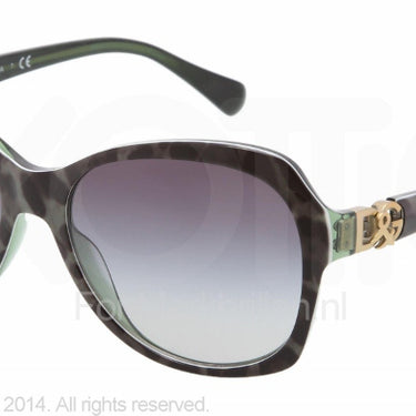 Dolce & Gabbana Zonnebril DG4163P Luipaard, groen-Grijs