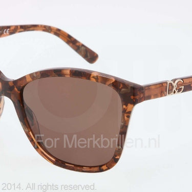 Dolce & Gabbana Zonnebril DG4170P Brown marble brown