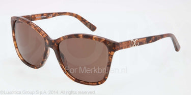 Dolce & Gabbana Zonnebril DG4170P Brown marble brown