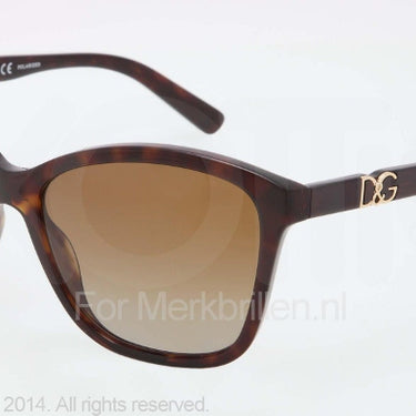 Dolce & Gabbana Zonnebril DG4170P Transparen havana polar brown gradient