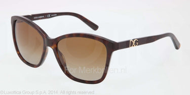 Dolce & Gabbana Zonnebril DG4170P Transparen havana polar brown gradient
