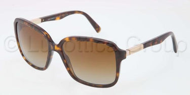 Dolce & Gabbana DG4172 Havana gepolariseerd