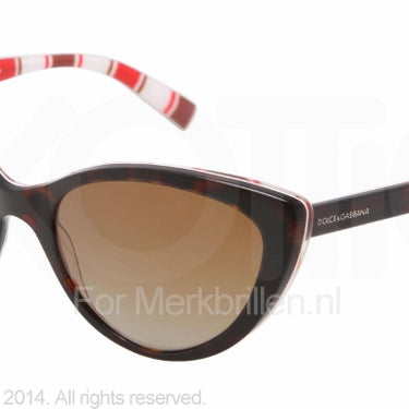 Dolce & Gabbana Zonnebril DG4181P Top havana on stripes polar brown gradient