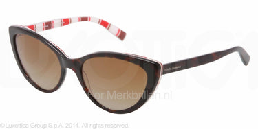 Dolce & Gabbana Zonnebril DG4181P Top havana on stripes polar brown gradient