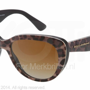 Dolce & Gabbana Zonnebril DG4189 Leopard polar brown gradient