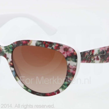 Dolce & Gabbana Zonnebril DG4189 Top white flowers on whi brown gradient