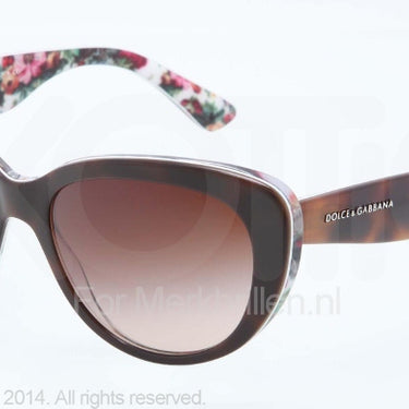 Dolce & Gabbana Zonnebril DG4189 Top havana on white flow brown gradient