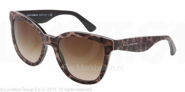 Dolce & Gabbana Zonnebril DG4190 Leopard brown gradient