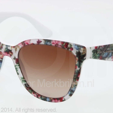 Dolce & Gabbana Zonnebril DG4190 Top white flowers on whi brown gradient