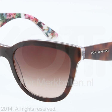 Dolce & Gabbana Zonnebril DG4190 Top havana on white flow brown gradient