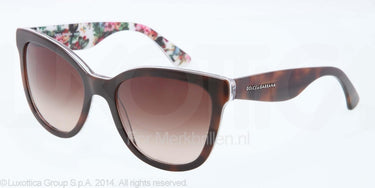 Dolce & Gabbana Zonnebril DG4190 Top havana on white flow brown gradient