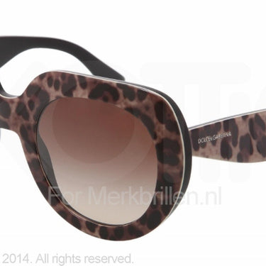 Dolce & Gabbana Zonnebril DG4191P Leopard brown gradient