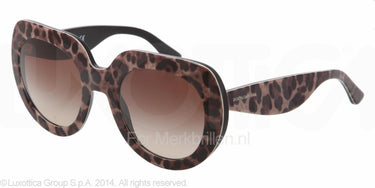 Dolce & Gabbana Zonnebril DG4191P Leopard brown gradient