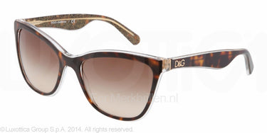 Dolce & Gabbana Zonnebril DG4193 Top havana/glitter gold brown gradient