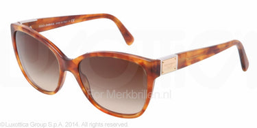 Dolce & Gabbana Zonnebril DG4195 Light havana brown gradient
