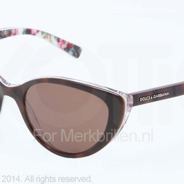 Dolce & Gabbana Zonnebril DG4202 Top havana/white flowers brown