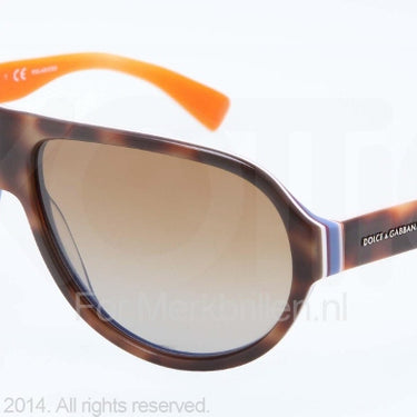 Dolce & Gabbana Zonnebril DG4204 Havana/multilayer/orange polar brown gradient