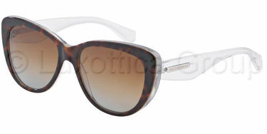 Dolce & Gabbana zonnebril DG4221 Havana parelwit gepolariseerd