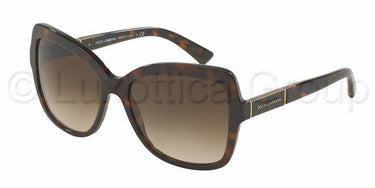 Dolce & Gabbana zonnebril DG4244 Havana