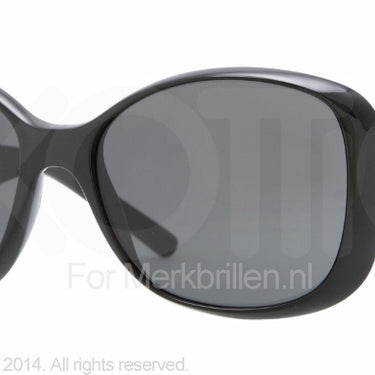 DKNY Zonnebril DY4102 Zwart-Grijs